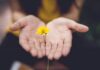“마음 챙김, 내 삶 속 작은 변화부터”… 일상에 쉽게 적용하는 건강 트렌드 selective focus photography of woman holding yellow petaled flowers